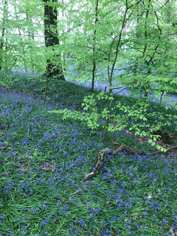 Bluebell Bell Tent The Roaches Upper Hulme Zewnętrze zdjęcie